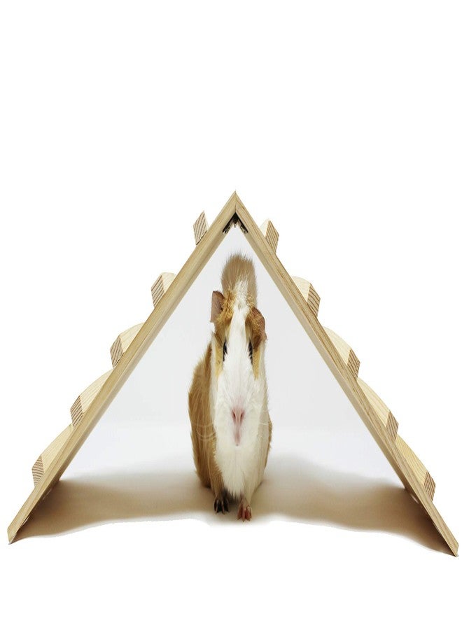 Pulse Brands Wood Bridge for Small Animal Cage or Habitat - Guinea Pigs, Ferrets, Chinchillas, Hedgehog, Dwarf Rabbits and Other Small Animals - Image 3